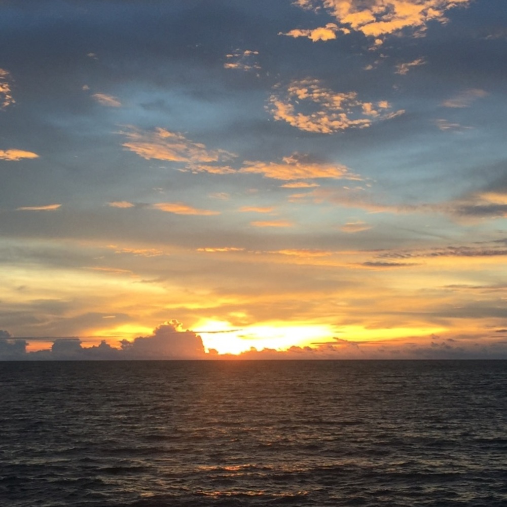 Meet your Posher, Rayray